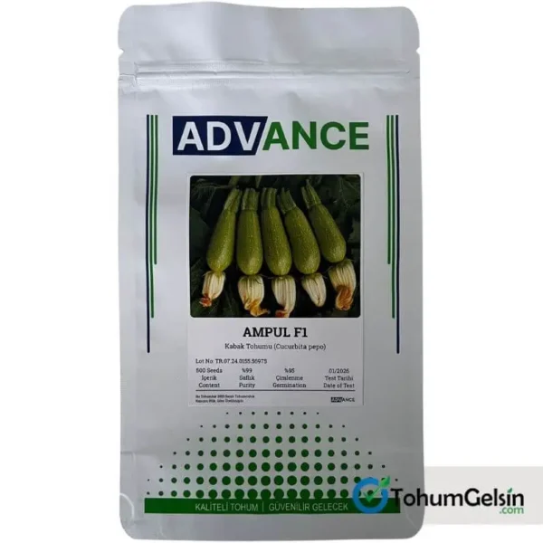 Ampul F1 Kabak Tohumu