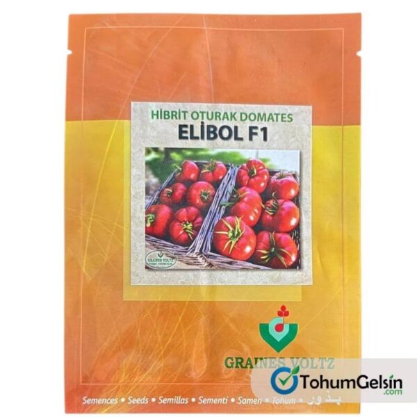Elibol Domates Tohumu