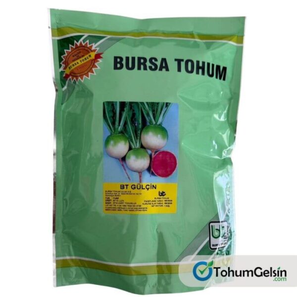 Gülçin Çin Turpu Tohumu