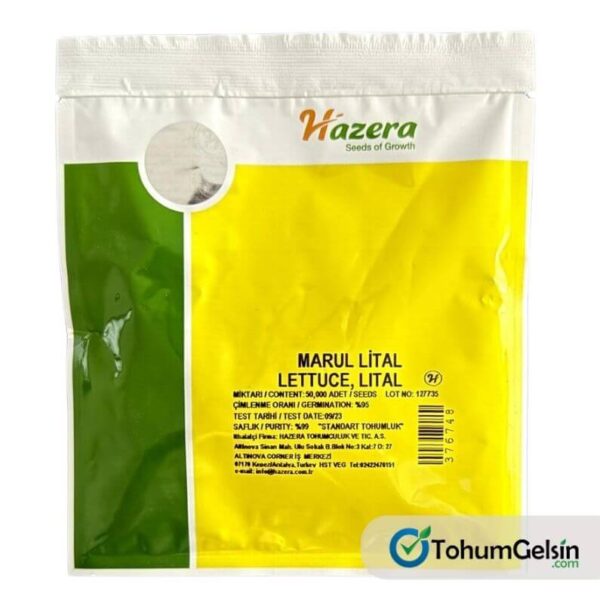 Hazera Lital Marul Tohumu