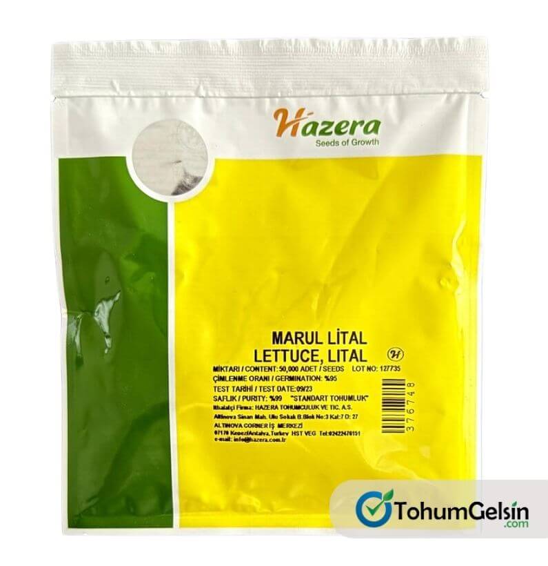 hazera-lital-marul-tohumu Hazera Lital Marul Tohumu