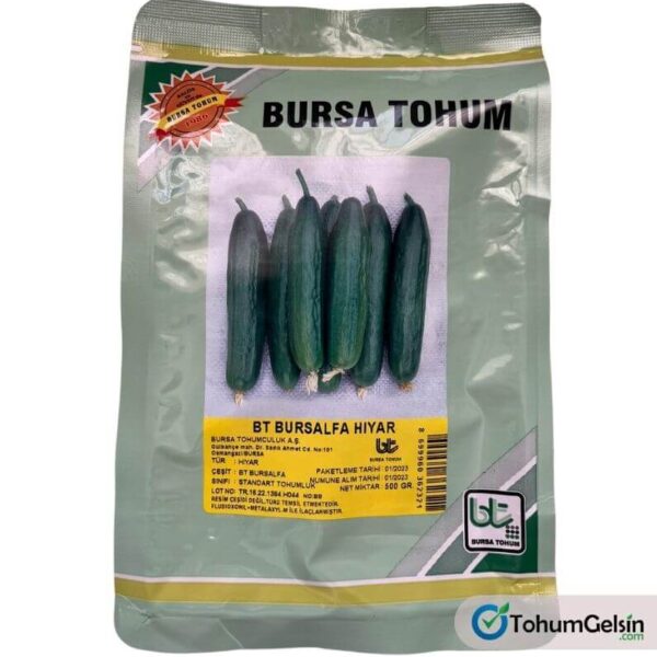 Oturak Hıyar Tohumu 500 Gr