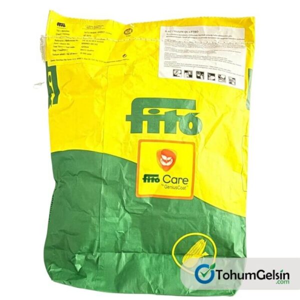 SF 2070 F1 Tatlı Mısır Tohumu