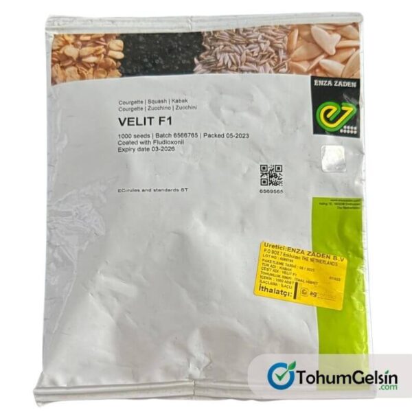 Velit Kabak Tohumu